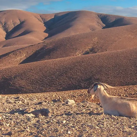 - Aire - Surf & Yoga Apartment